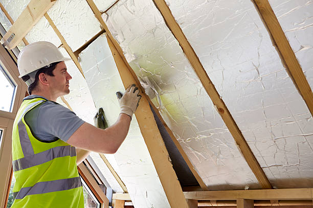 Best Eco-Friendly Insulation in Laymantown, VA